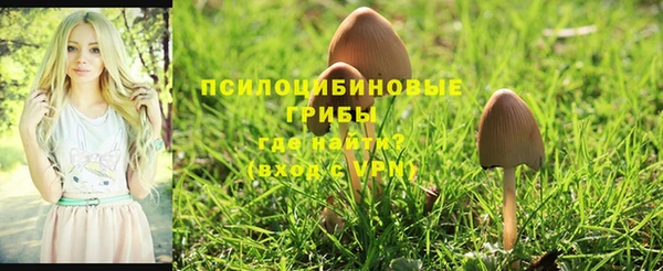 ALPHA-PVP Бронницы