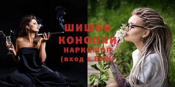 ешки Бородино