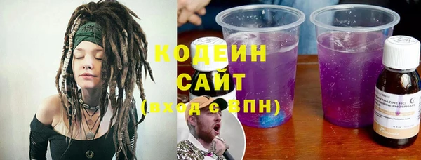 ешки Бородино