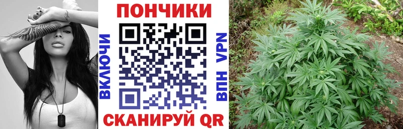 Бошки марихуана LSD WEED  где купить наркотик  Стерлитамак 